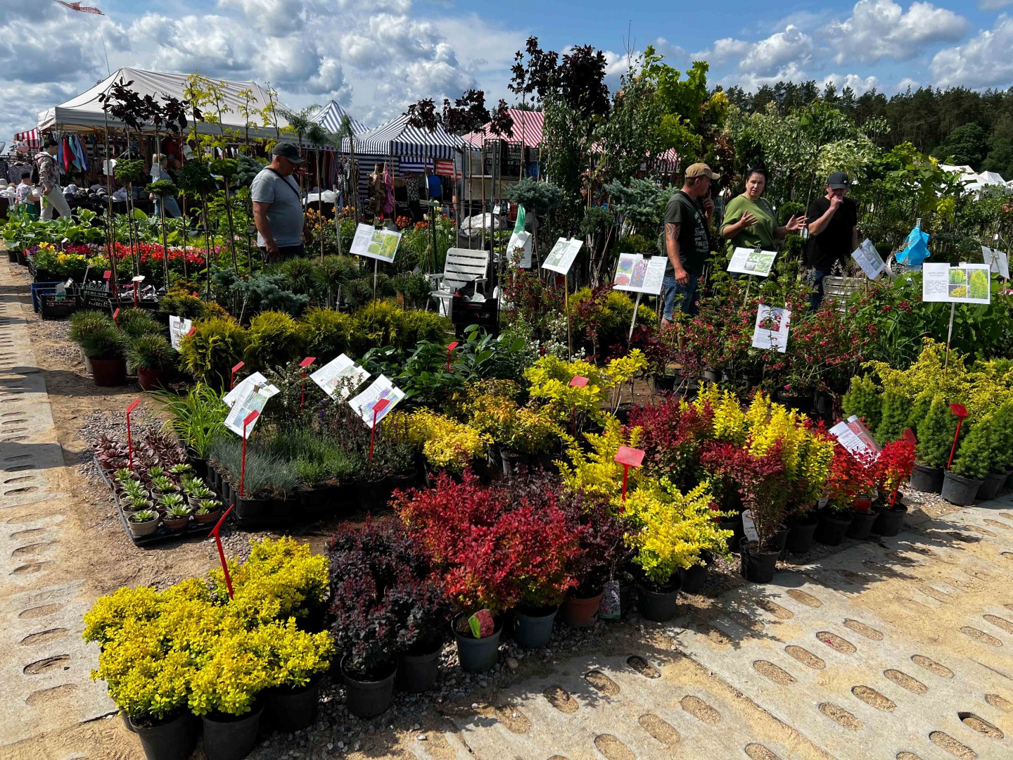 W Lubaniu, w gminie Nowa Karczma wystartowały Pomorskie Agro Targi. Posłuchaj relacji z mobilnego studia Weekend FM
