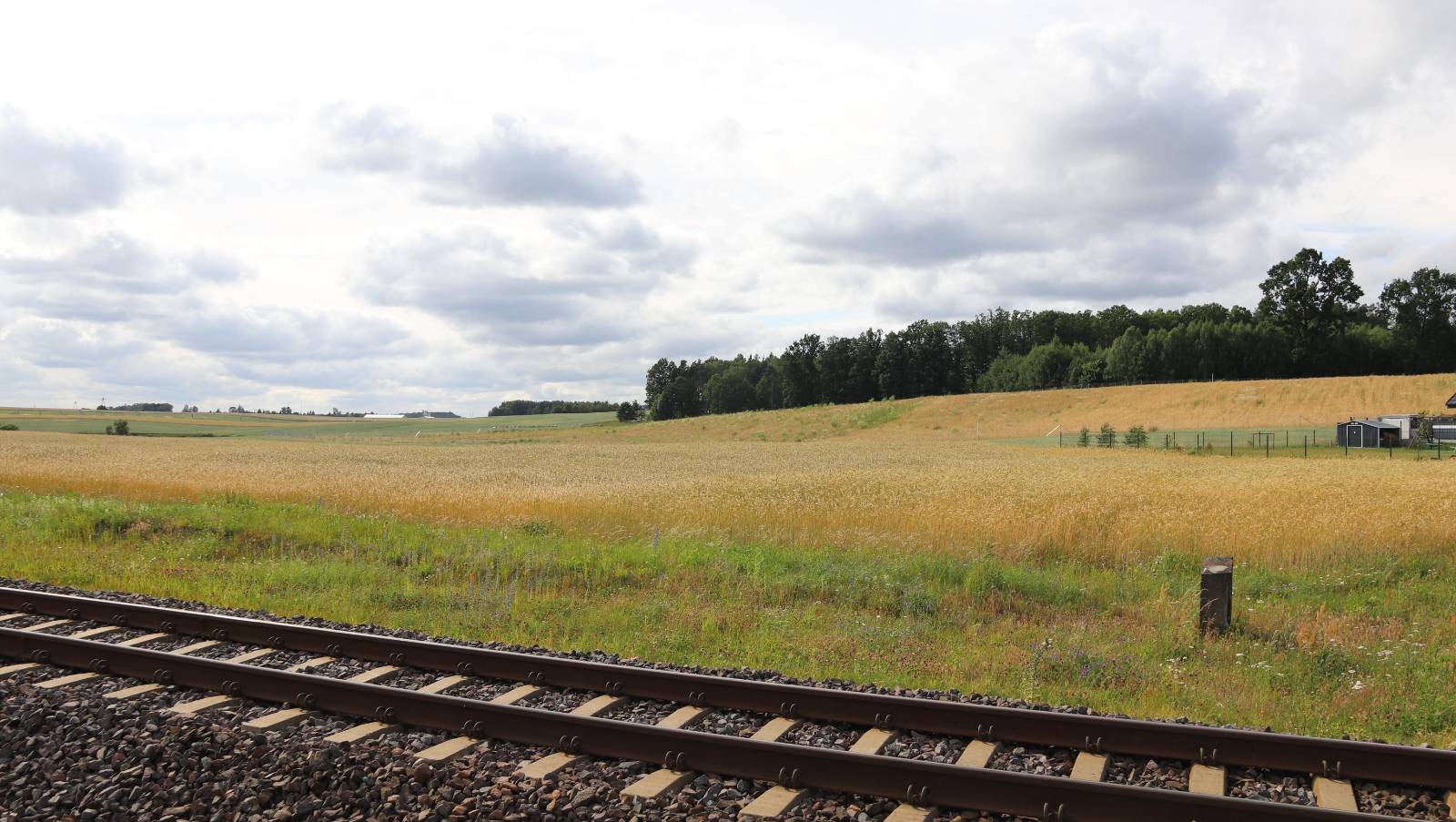 Mieszkańcy Klawkowa koło Chojnic nie chcą farmy fotowoltaicznej, która ma wyrosnąć pod ich oknami (RELACJA)