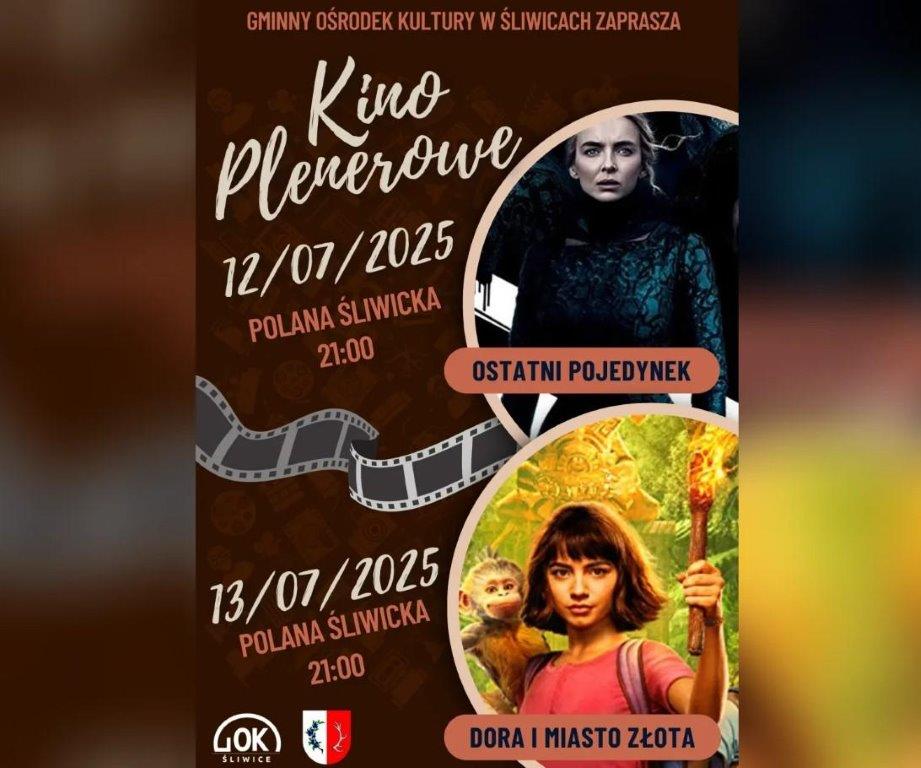 Wyścigi modeli ślizgów sterowanych radiem i kino plenerowe - to atrakcje weekendu w Śliwicach