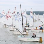 fot. Wojciech Piepiorka