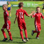 fot. Wojciech Piepiorka