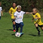 fot. Wojciech Piepiorka