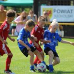 fot. Wojciech Piepiorka