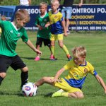 fot. Wojciech Piepiorka