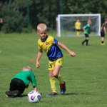 fot. Wojciech Piepiorka