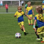 fot. Wojciech Piepiorka