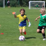 fot. Wojciech Piepiorka