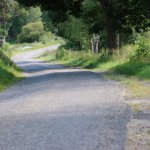 fot. Wojciech Piepiorka