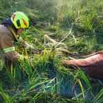 fot. OSP Tuchomie/nadesłane