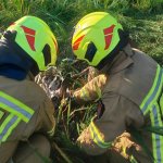 fot. OSP Tuchomie/nadesłane