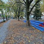 fot. Stanisław Kamiński