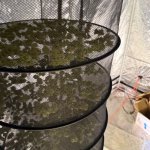 fot. KPP w Człuchowie