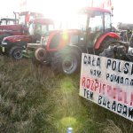 fot. Stanisław Kamiński