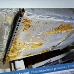 zdjęcia z transmisji online