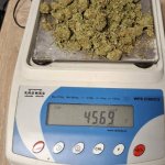 fot. KPP w Człuchowie