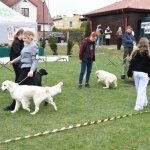 fot. Stanisław Kamiński