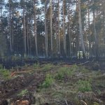 fot. KW PSP w Gdańsku